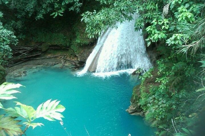 The best lagoon tour guides in Jamaica with www.jamescarvertours.com