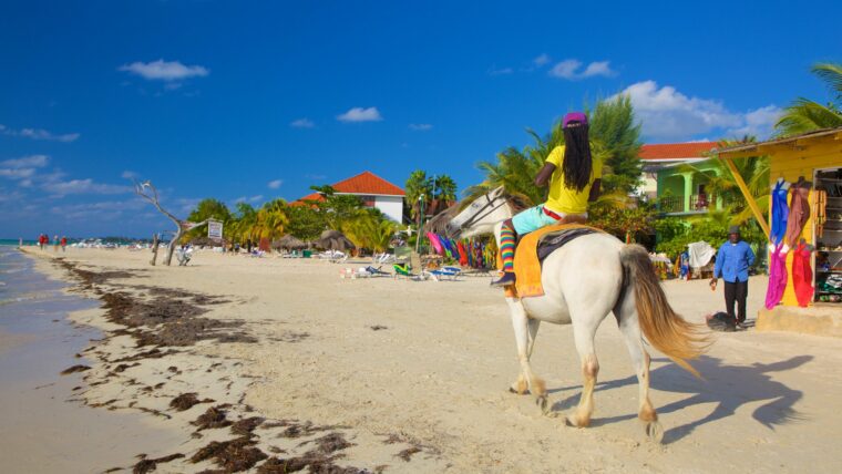 Seven Mile beach tour. The best tours and excursions in Jamaica. Book the best waterfall, boating, cultural, Horse Riding, Swimming & Bamboo Rafting, Fishing, Dunns Party Catamaran, Climb & Zipline, Waterfalls and Horseback Riding tours across Jamaica with www.jamescarvertours.com