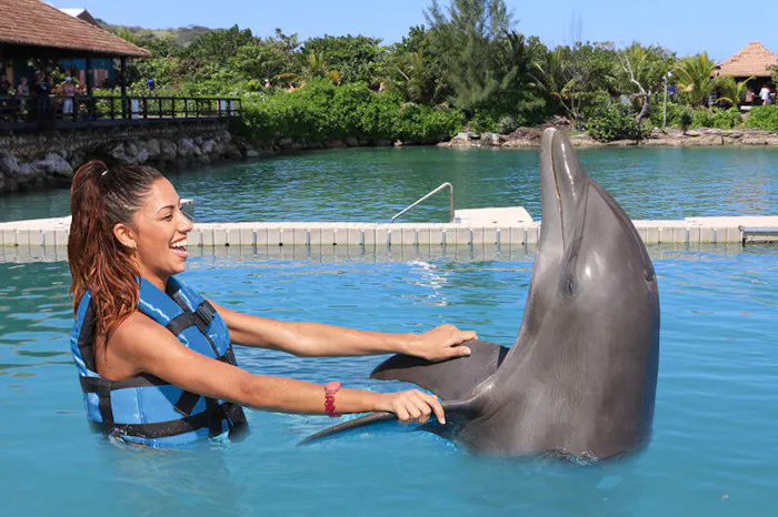 Dolphin Cove Jamaica. The best tours and excursions in Jamaica. Book the best waterfall, boating, cultural, Horse Riding, Swimming & Bamboo Rafting, Fishing, Dunns Party Catamaran, Climb & Zipline, Waterfalls and Horseback Riding tours across Jamaica with www.jamescarvertours.com