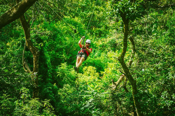 The Best Jamaica Zip Line Tours – Zip Lining In Jamaica. The best tours and excursions in Jamaica. Book the best waterfall, boating, cultural, Horse Riding, Swimming & Bamboo Rafting, Fishing, Dunns Party Catamaran, Climb & Zipline, Waterfalls and Horseback Riding tours across Jamaica with www.jamescarvertours.com
